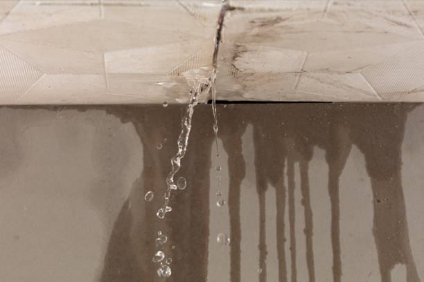 Professional Burst Pipe Cleanup technician working in Porter, ME